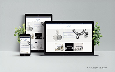 Suri Silver Website